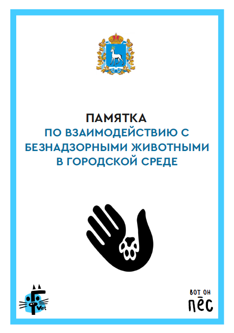 скрин.png